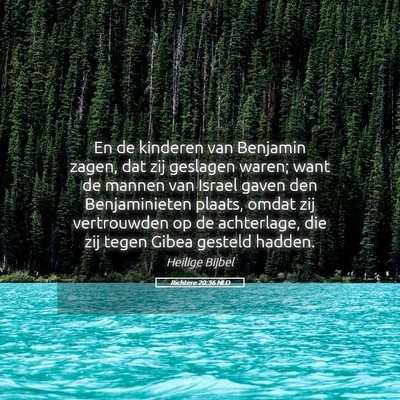 Picture 05 - Richtere 20:36 NLD - En de kinderen van Benjamin zagen, dat zij - Bible Verse Picture