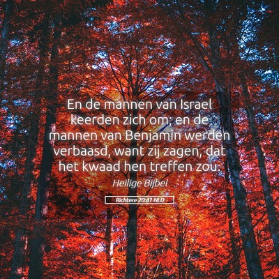 Picture 05 - Richtere 20:41 NLD - En de mannen van Israel keerden zich om; en de - Bible Verse Picture