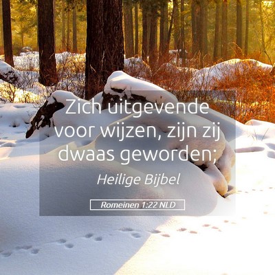 Picture 05 - Romeinen 1:22 NLD - Zich uitgevende voor wijzen, zijn zij dwaas - Bible Verse Picture
