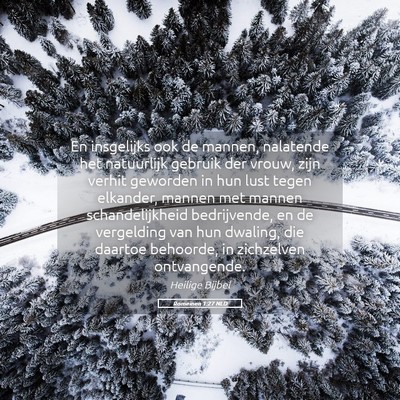 Picture 05 - Romeinen 1:27 NLD - En insgelijks ook de mannen, nalatende het - Bible Verse Picture