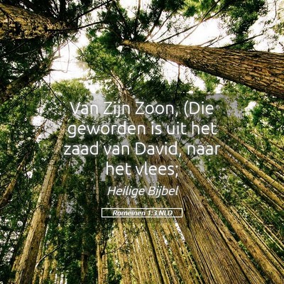 Picture 05 - Romeinen 1:3 NLD - Van Zijn Zoon, (Die geworden is uit het zaad van - Bible Verse Picture