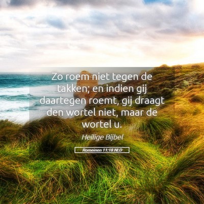Picture 05 - Romeinen 11:18 NLD - Zo roem niet tegen de takken; en indien gij - Bible Verse Picture