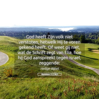Picture 05 - Romeinen 11:2 NLD - God heeft Zijn volk niet verstoten, hetwelk Hij - Bible Verse Picture