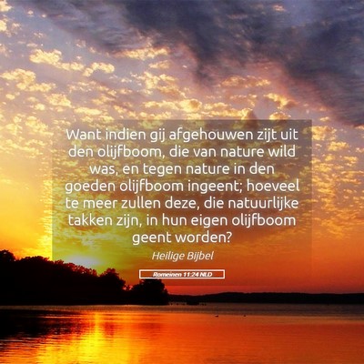 Picture 05 - Romeinen 11:24 NLD - Want indien gij afgehouwen zijt uit den - Bible Verse Picture