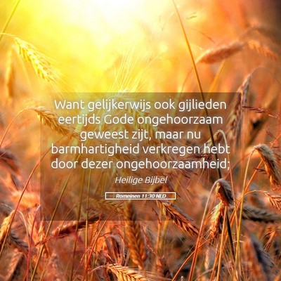 Picture 05 - Romeinen 11:30 NLD - Want gelijkerwijs ook gijlieden eertijds Gode - Bible Verse Picture