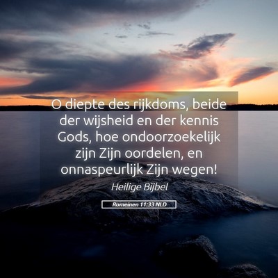 Picture 05 - Romeinen 11:33 NLD - O diepte des rijkdoms, beide der wijsheid en der - Bible Verse Picture