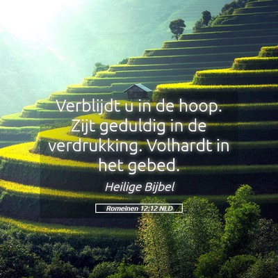 Picture 05 - Romeinen 12:12 NLD - Verblijdt u in de hoop. Zijt geduldig in de - Bible Verse Picture
