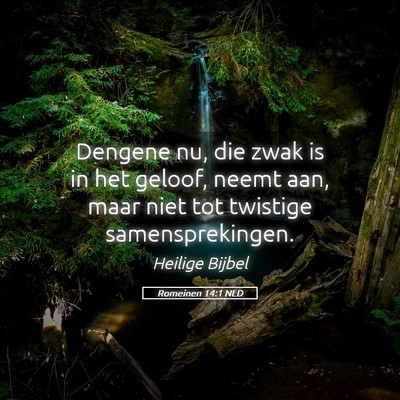 Picture 05 - Romeinen 14:1 NLD - Dengene nu, die zwak is in het geloof, neemt aan, - Bible Verse Picture