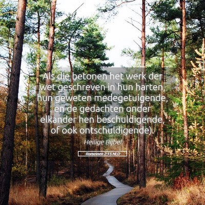Picture 05 - Romeinen 2:15 NLD - Als die betonen het werk der wet geschreven in - Bible Verse Picture