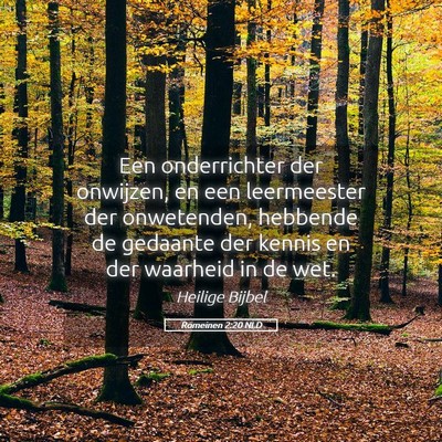 Picture 05 - Romeinen 2:20 NLD - Een onderrichter der onwijzen, en een leermeester - Bible Verse Picture