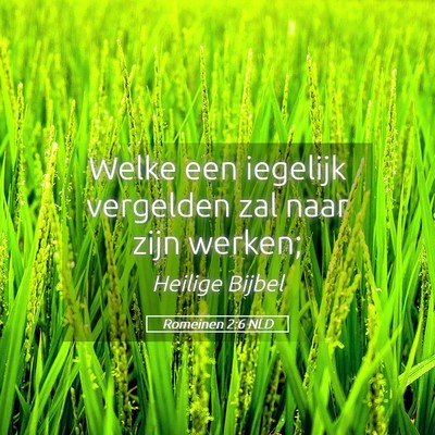Picture 05 - Romeinen 2:6 NLD - Welke een iegelijk vergelden zal naar zijn - Bible Verse Picture
