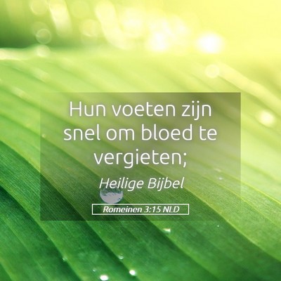 Picture 05 - Romeinen 3:15 NLD - Hun voeten zijn snel om bloed te - Bible Verse Picture