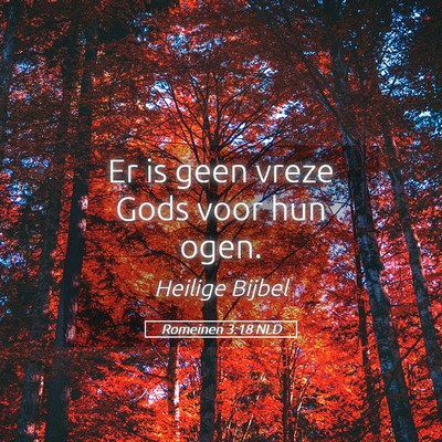 Picture 05 - Romeinen 3:18 NLD - Er is geen vreze Gods voor hun - Bible Verse Picture