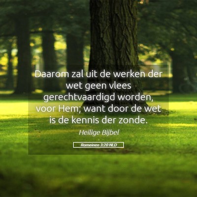 Picture 05 - Romeinen 3:20 NLD - Daarom zal uit de werken der wet geen vlees - Bible Verse Picture