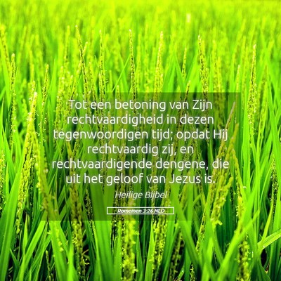 Picture 05 - Romeinen 3:26 NLD - Tot een betoning van Zijn rechtvaardigheid in - Bible Verse Picture