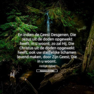 Picture 05 - Romeinen 8:11 NLD - En indien de Geest Desgenen, Die Jezus uit de - Bible Verse Picture