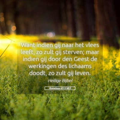 Picture 05 - Romeinen 8:13 NLD - Want indien gij naar het vlees leeft, zo zult gij - Bible Verse Picture