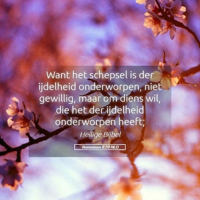 Picture 05 - Romeinen 8:20 NLD - Want het schepsel is der ijdelheid onderworpen, - Bible Verse Picture