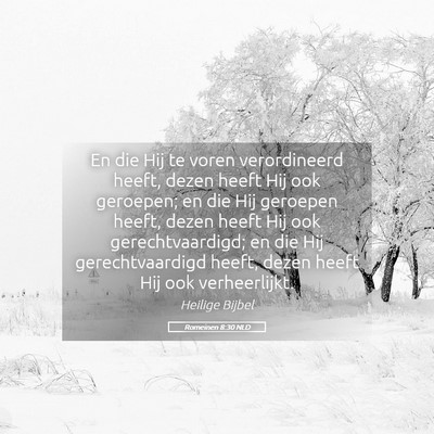 Picture 05 - Romeinen 8:30 NLD - En die Hij te voren verordineerd heeft, dezen - Bible Verse Picture