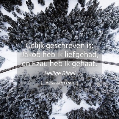 Picture 05 - Romeinen 9:13 NLD - Gelijk geschreven is: Jakob heb Ik liefgehad, en - Bible Verse Picture