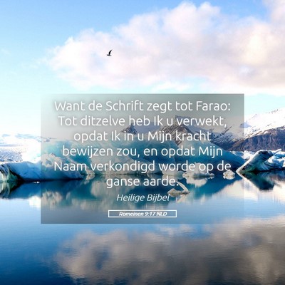 Picture 05 - Romeinen 9:17 NLD - Want de Schrift zegt tot Farao: Tot ditzelve heb - Bible Verse Picture