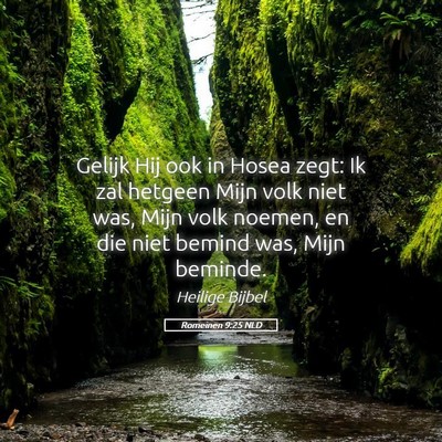Picture 05 - Romeinen 9:25 NLD - Gelijk Hij ook in Hosea zegt: Ik zal hetgeen Mijn - Bible Verse Picture