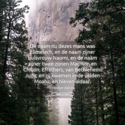 Picture 05 - Ruth 1:2 NLD - De naam nu dezes mans was Elimelech, en de naam - Bible Verse Picture