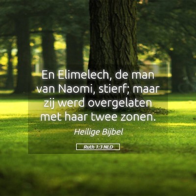 Picture 05 - Ruth 1:3 NLD - En Elimelech, de man van Naomi, stierf; maar zij - Bible Verse Picture