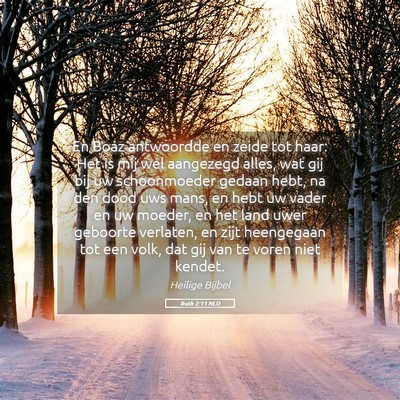 Picture 05 - Ruth 2:11 NLD - En Boaz antwoordde en zeide tot haar: Het is mij - Bible Verse Picture