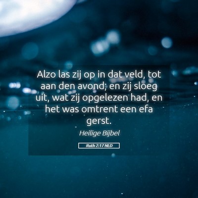 Picture 05 - Ruth 2:17 NLD - Alzo las zij op in dat veld, tot aan den avond; - Bible Verse Picture
