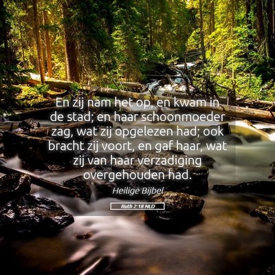 Picture 05 - Ruth 2:18 NLD - En zij nam het op, en kwam in de stad; en haar - Bible Verse Picture