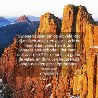 Picture 05 - Ruth 2:9 NLD - Uw ogen zullen zijn op dit veld, dat zij maaien - Bible Verse Picture