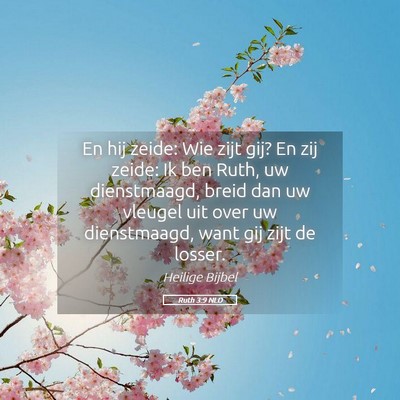 Picture 05 - Ruth 3:9 NLD - En hij zeide: Wie zijt gij? En zij zeide: Ik ben - Bible Verse Picture