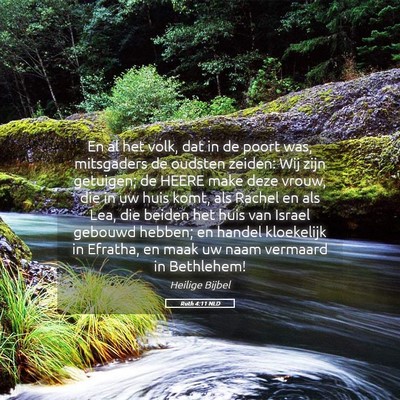 Picture 05 - Ruth 4:11 NLD - En al het volk, dat in de poort was, mitsgaders - Bible Verse Picture