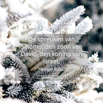 Picture 05 - Spreuken 1:1 NLD - De spreuken van Salomo, den zoon van David, den - Bible Verse Picture
