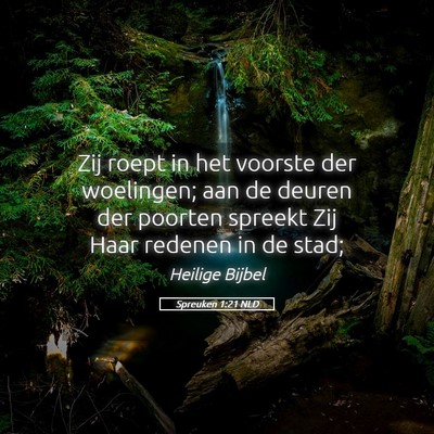 Picture 05 - Spreuken 1:21 NLD - Zij roept in het voorste der woelingen; aan de - Bible Verse Picture