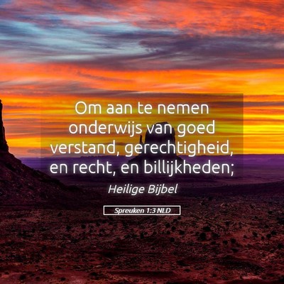 Picture 05 - Spreuken 1:3 NLD - Om aan te nemen onderwijs van goed verstand, - Bible Verse Picture