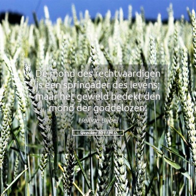 Picture 05 - Spreuken 10:11 NLD - De mond des rechtvaardigen is een springader des - Bible Verse Picture