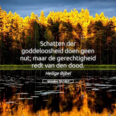 Picture 05 - Spreuken 10:2 NLD - Schatten der goddeloosheid doen geen nut; maar de - Bible Verse Picture