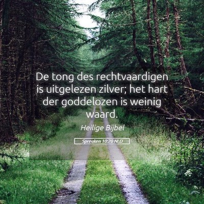 Picture 05 - Spreuken 10:20 NLD - De tong des rechtvaardigen is uitgelezen zilver; - Bible Verse Picture