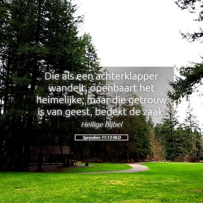 Picture 05 - Spreuken 11:13 NLD - Die als een achterklapper wandelt, openbaart het - Bible Verse Picture