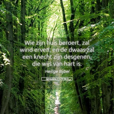 Picture 05 - Spreuken 11:29 NLD - Wie zijn huis beroert, zal wind erven; en de - Bible Verse Picture