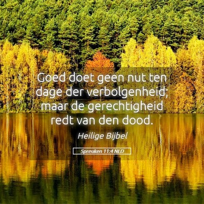 Picture 05 - Spreuken 11:4 NLD - Goed doet geen nut ten dage der verbolgenheid; - Bible Verse Picture