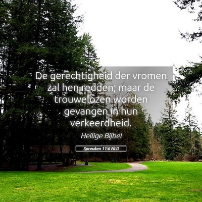 Picture 05 - Spreuken 11:6 NLD - De gerechtigheid der vromen zal hen redden; maar - Bible Verse Picture