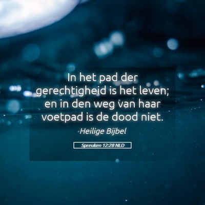Picture 05 - Spreuken 12:28 NLD - In het pad der gerechtigheid is het leven; en in - Bible Verse Picture