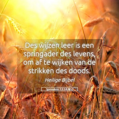 Picture 05 - Spreuken 13:14 NLD - Des wijzen leer is een springader des levens, om - Bible Verse Picture