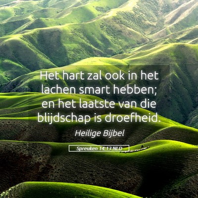 Picture 05 - Spreuken 14:13 NLD - Het hart zal ook in het lachen smart hebben; en - Bible Verse Picture