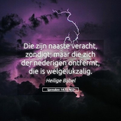 Picture 05 - Spreuken 14:21 NLD - Die zijn naaste veracht, zondigt; maar die zich - Bible Verse Picture
