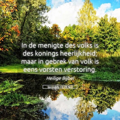 Picture 05 - Spreuken 14:28 NLD - In de menigte des volks is des konings - Bible Verse Picture