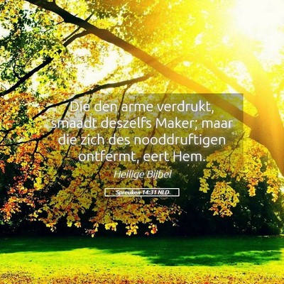 Picture 05 - Spreuken 14:31 NLD - Die den arme verdrukt, smaadt deszelfs Maker; - Bible Verse Picture